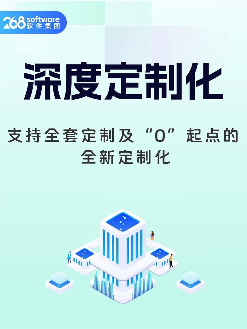 政企软件定制:企业发展的得力助手